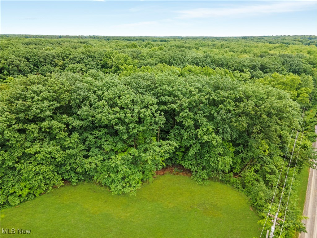 Sidley Road Thompson, OH 44086 - Photo 5 of 21 Gallery Image 5