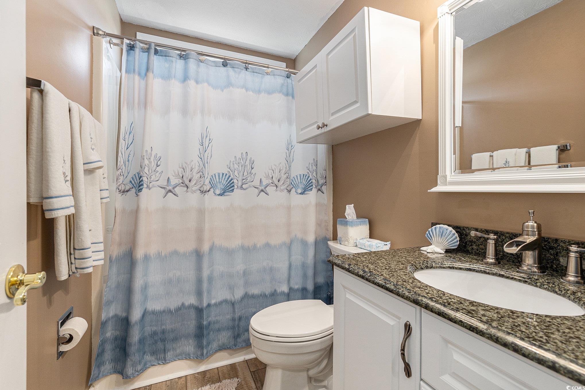 1105 Lampwick Lane Murrells Inlet, SC 29576 - Photo 28 of 40 Bathroom with toilet, vanity, a shower with curtain, and wood finished floors