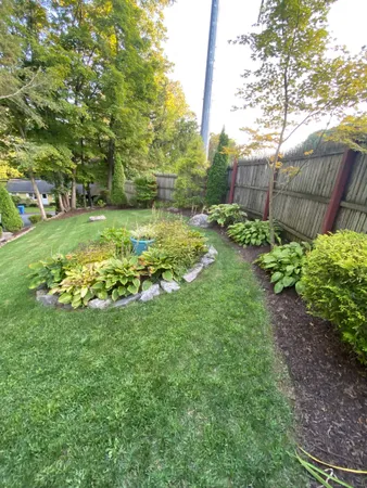 a view of a garden with a bench