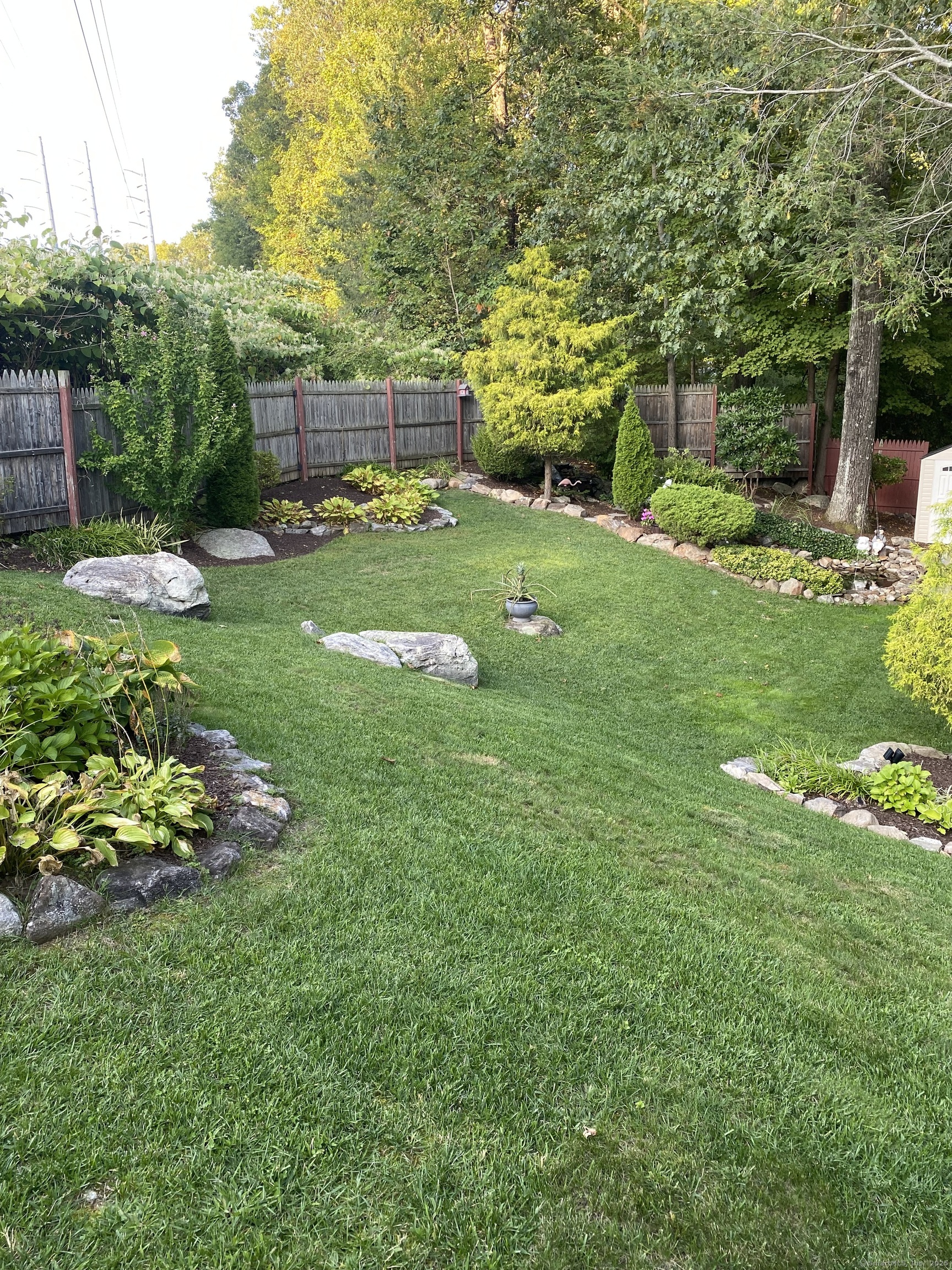 110 Wooster Avenue Waterbury, CT 06708 - Photo 15 of 35 a view of a garden with a house