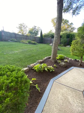 a view of a garden with a bench