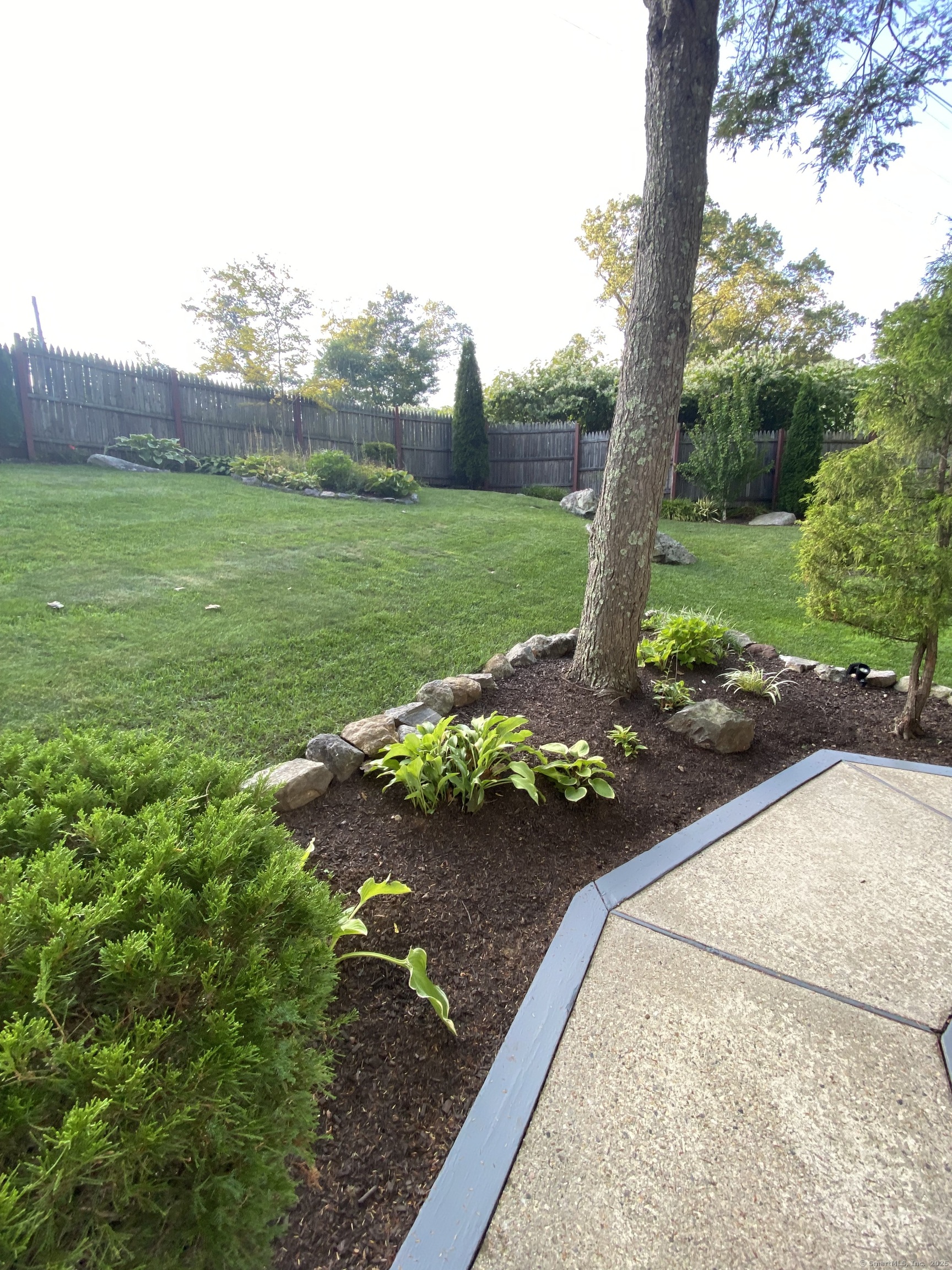 110 Wooster Avenue Waterbury, CT 06708 - Photo 7 of 35 a view of a garden with a bench