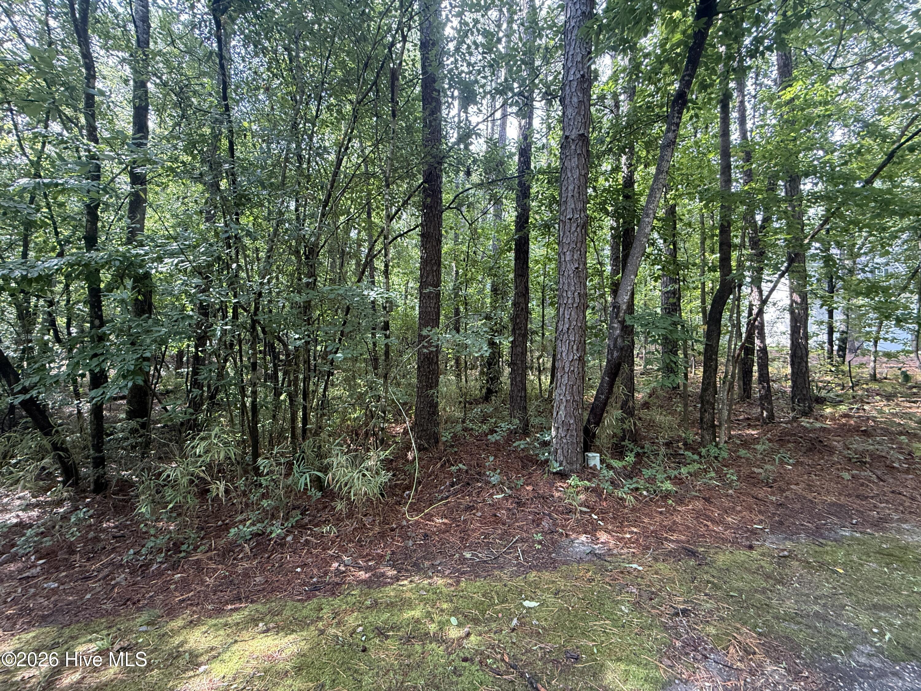 149 Hastings Road West End, NC 27376 - Photo 3 of 4