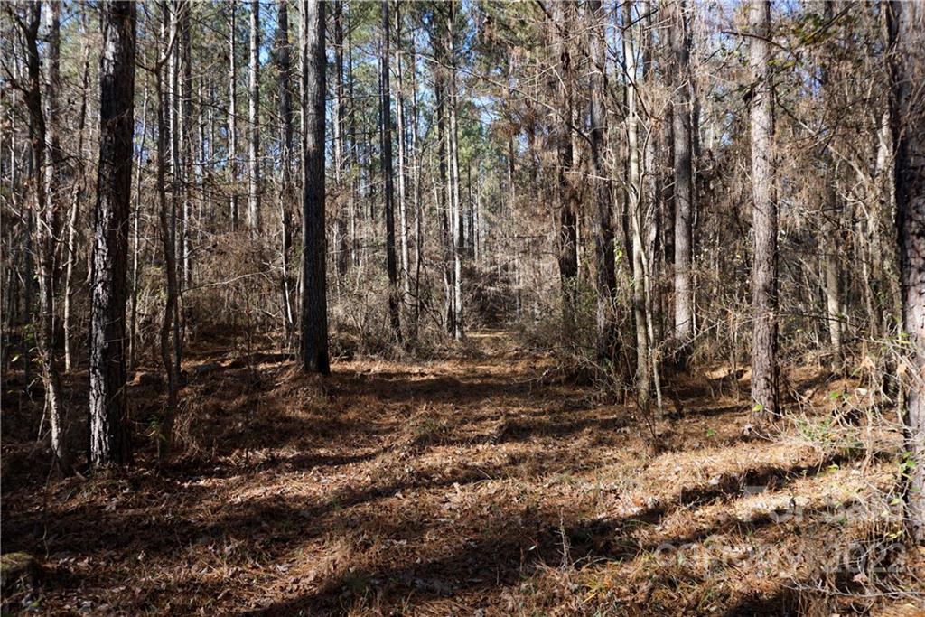 25-ac 25-ac Skyline Road Chester, SC 29706 - Photo 11 of 16 a view of a backyard