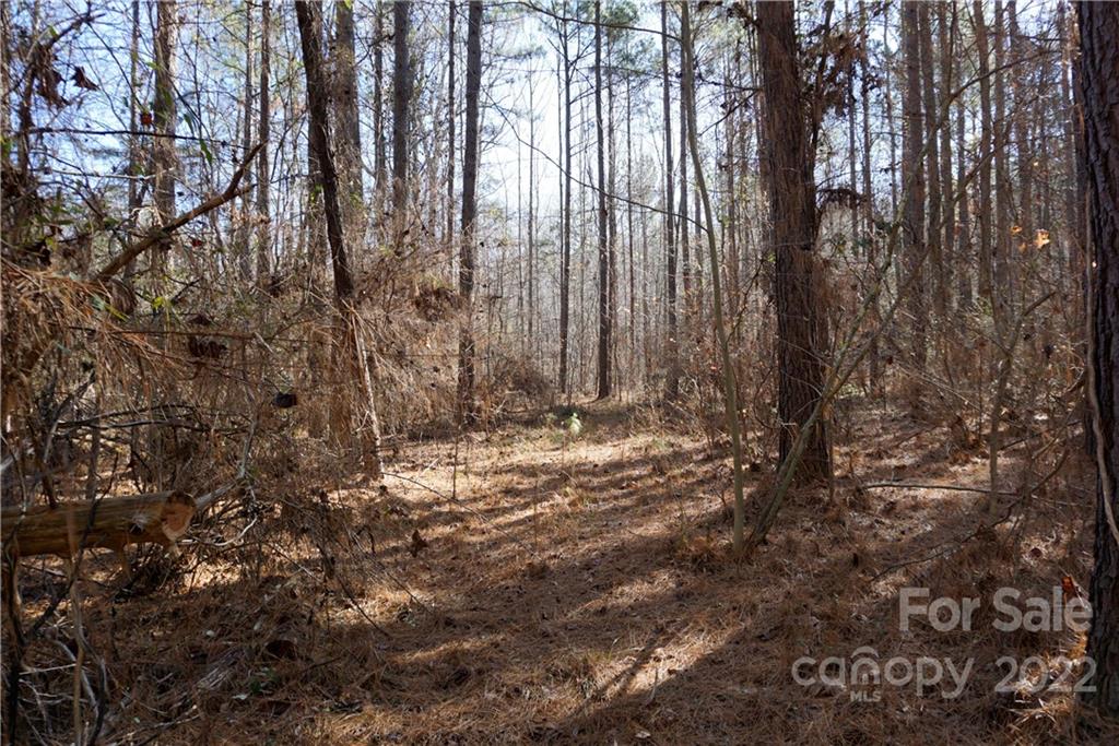 25-ac 25-ac Skyline Road Chester, SC 29706 - Photo 12 of 16 a view of outdoor space with deck and tree