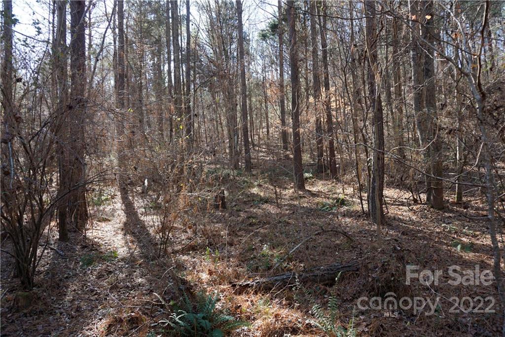 25-ac 25-ac Skyline Road Chester, SC 29706 - Photo 14 of 16 a view of a forest with trees in the background
