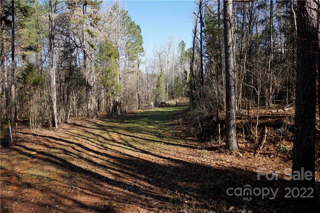 25-ac 25-ac Skyline Road Chester, SC 29706 - Photo 16 of 16 a view of a yard