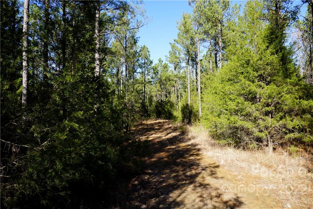 25-ac 25-ac Skyline Road Chester, SC 29706 - Photo 2 of 16 a view of a forest with trees