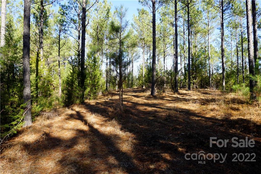 25-ac 25-ac Skyline Road Chester, SC 29706 - Photo 4 of 16 a view of outdoor space with trees