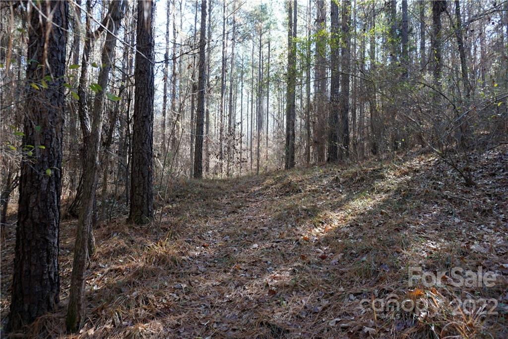 25-ac 25-ac Skyline Road Chester, SC 29706 - Photo 8 of 16 a view of a yard with large trees