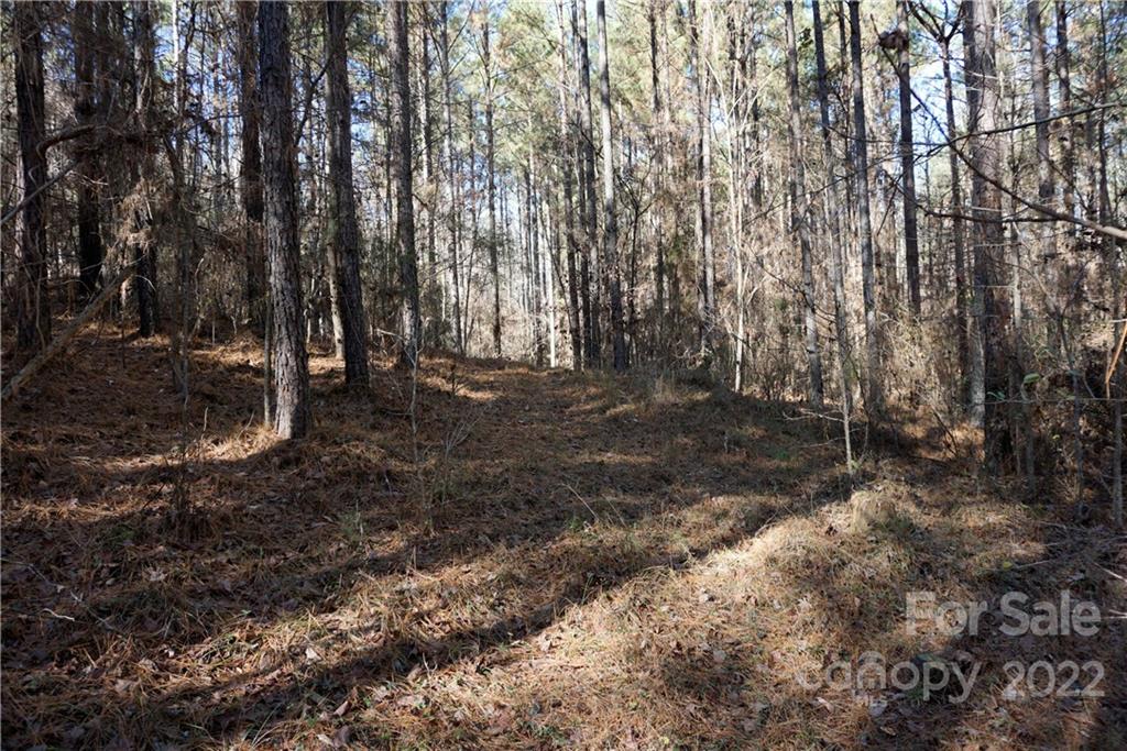 25-ac 25-ac Skyline Road Chester, SC 29706 - Photo 9 of 16 a view of a forest with trees