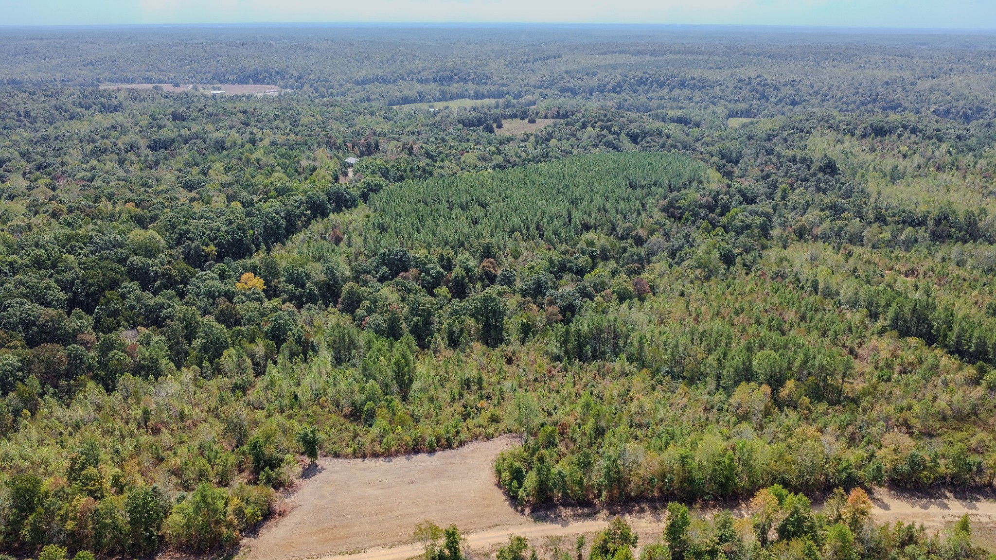 0 Hurricane Creek Road Southeast Stewart, TN 37175 - Photo 14 of 19 a view of a forest with a street
