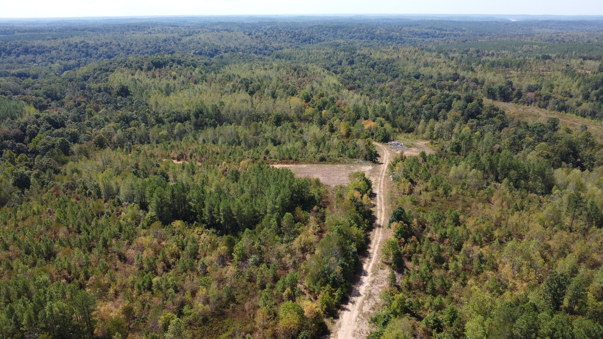 0 Hurricane Creek Road Southeast Stewart, TN 37175 - Photo 16 of 19 a view of a lush green forest with trees and some houses