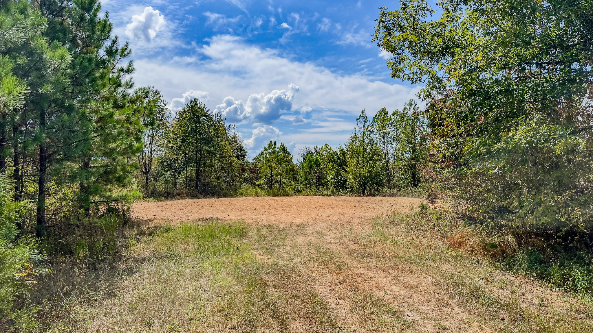 0 Hurricane Creek Road Southeast Stewart, TN 37175 - Photo 19 of 19 a view of empty field with trees