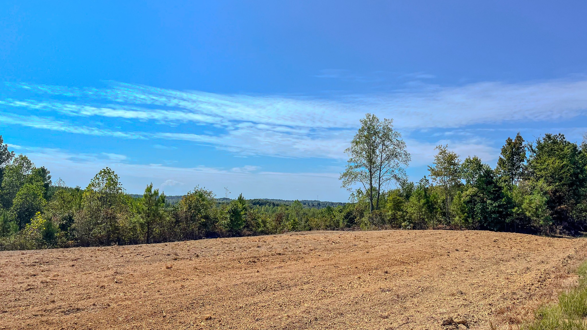 0 Hurricane Creek Road Southeast Stewart, TN 37175 - Photo 4 of 19 a view of outdoor space and yard