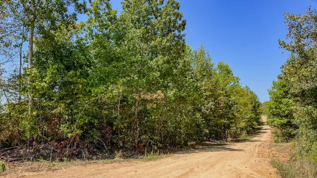 a view of a yard covered with snow in front of house