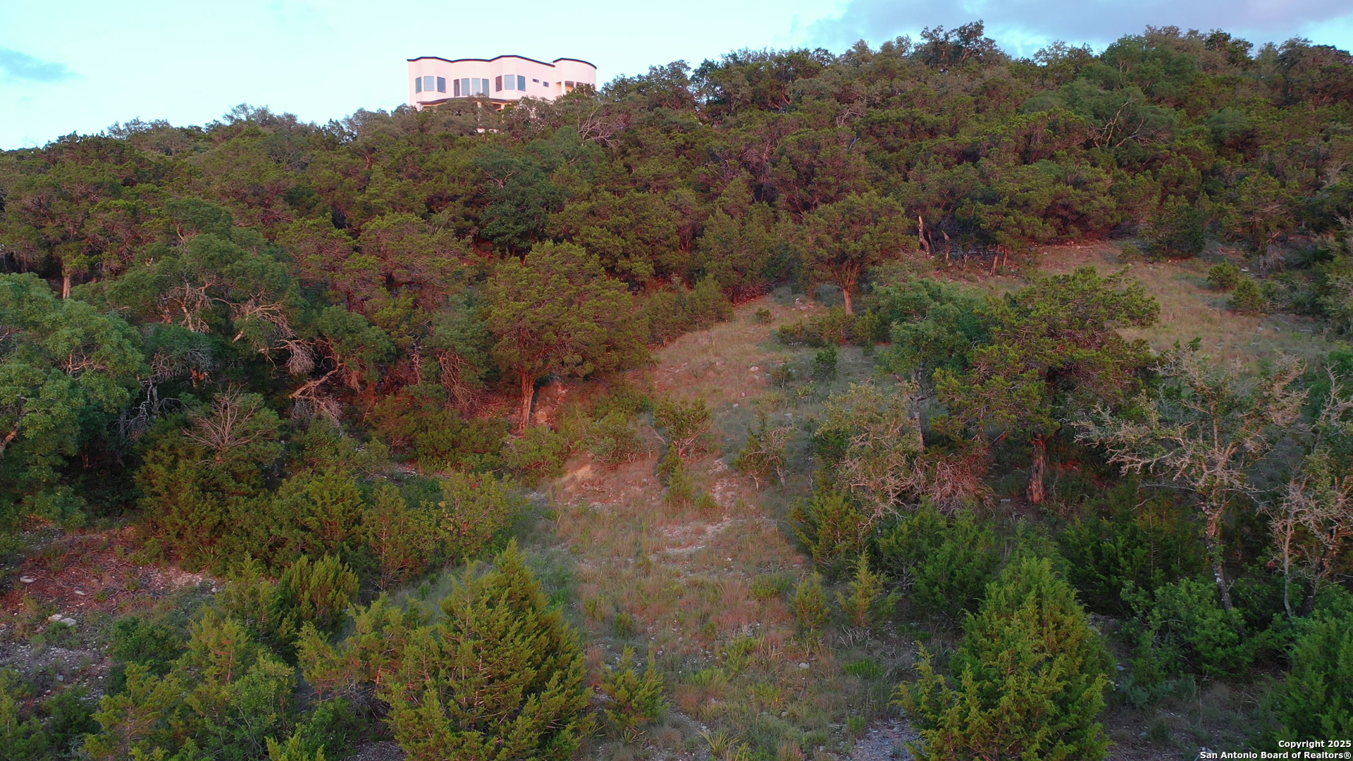 25219 Rocky Hill Road San Antonio, TX 78257 - Photo 12 of 15 a view of a forest with a street