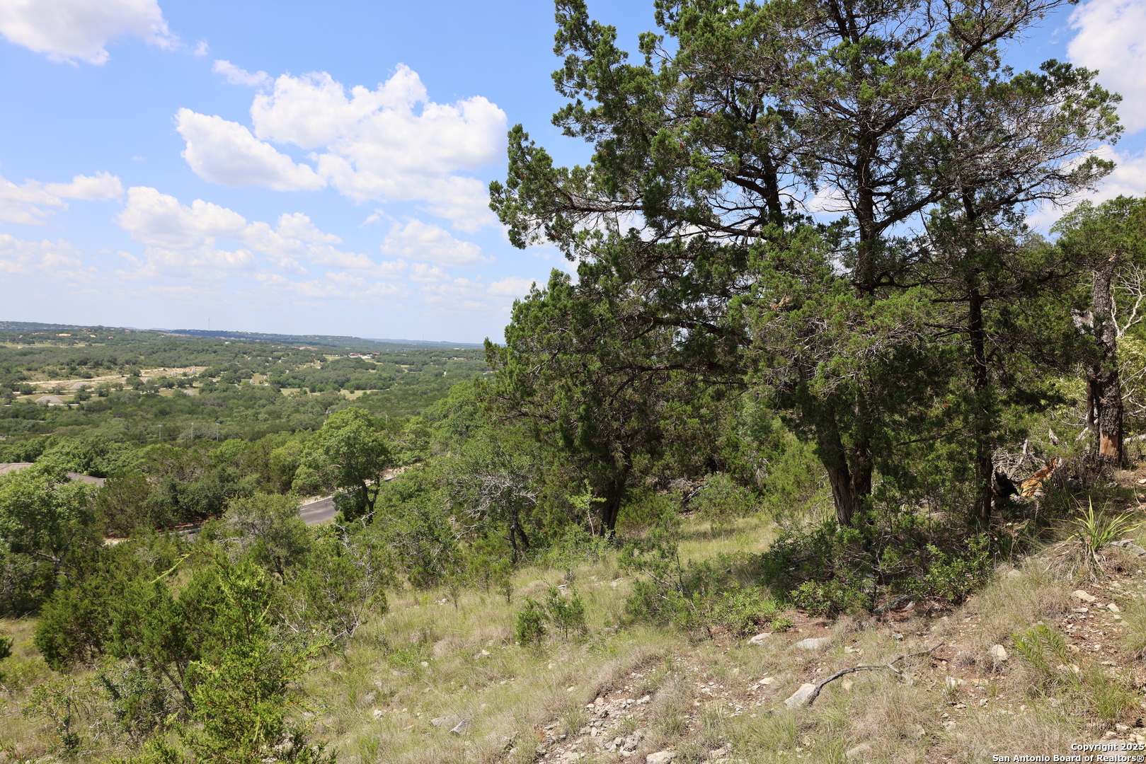 25219 Rocky Hill Road San Antonio, TX 78257 - Photo 6 of 15 a view of a field with a tree