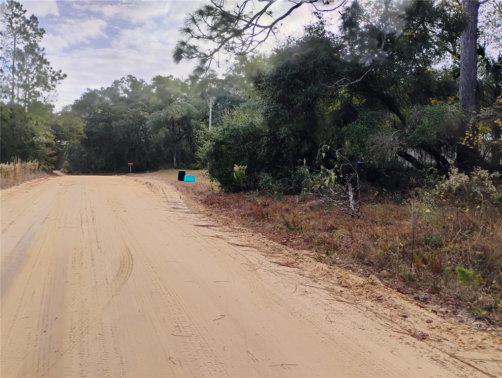 103 Antler Road Interlachen, FL 32148 - Photo 1 of 1 Gallery Image 1