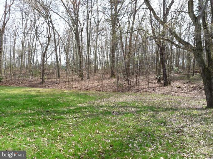 567 Trimble Road Joppa, MD 21085 - Photo 3 of 12 Back yard