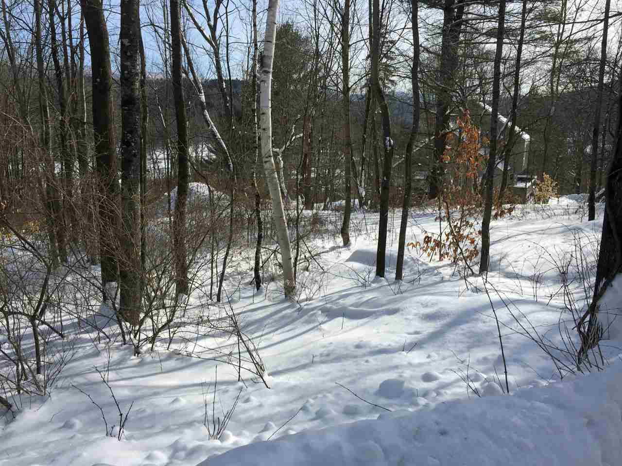 0 Carroll Road Waitsfield, VT 05673 - Photo 4 of 6 Gallery Image 4