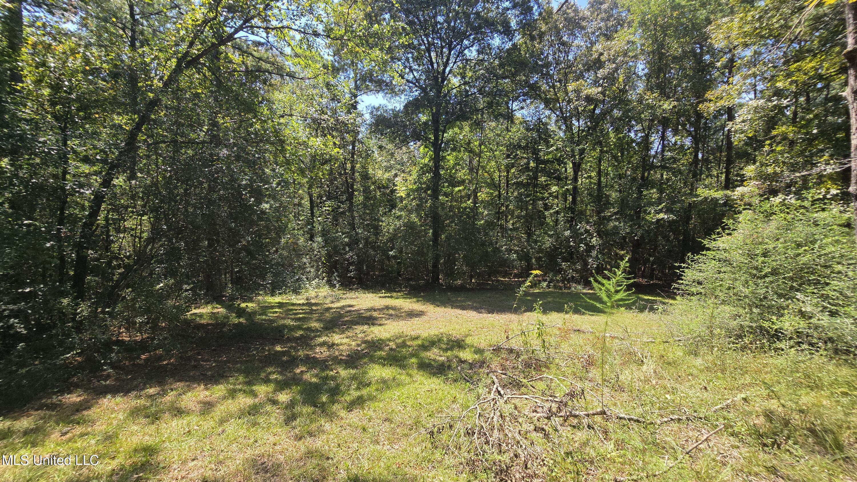 101 Pearl Hodge Road Laurel, MS 39443 - Photo 22 of 43 20250825_140141