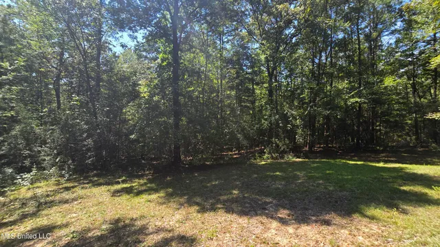 $155,000 | 101 Pearl Hodge Road, Laurel, MS 39443