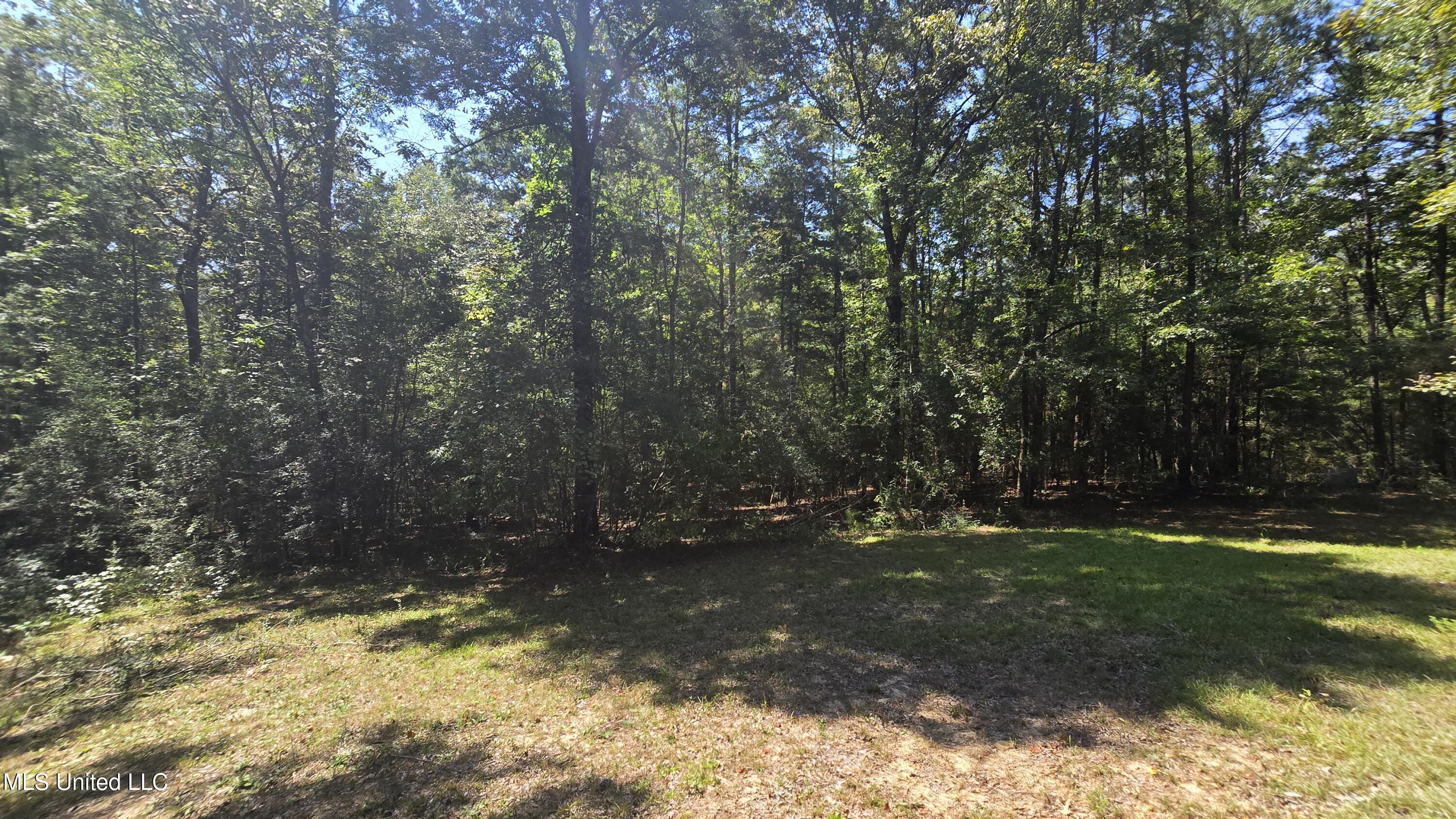 101 Pearl Hodge Road Laurel, MS 39443 - Photo 23 of 43 20250825_140149