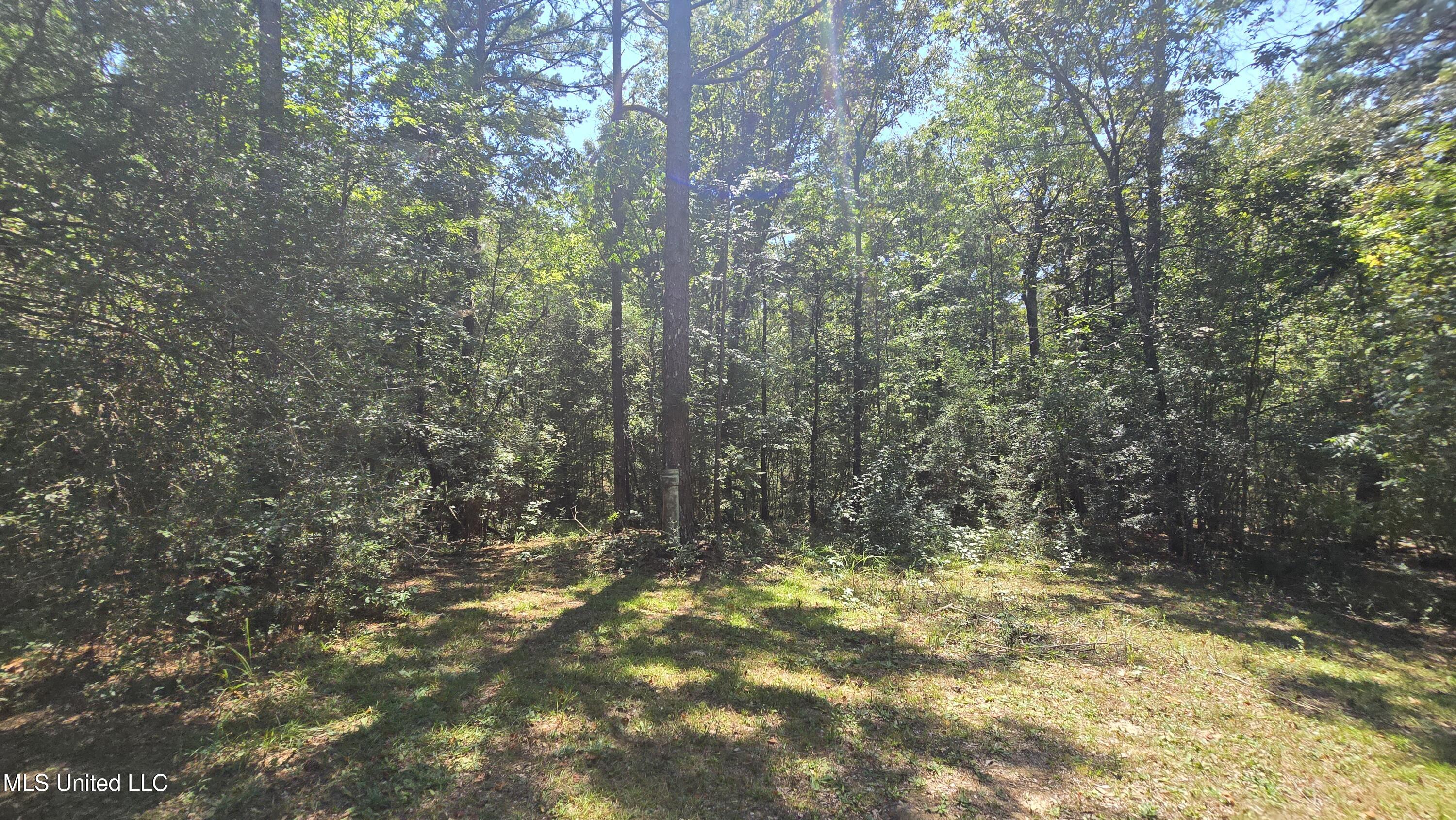 101 Pearl Hodge Road Laurel, MS 39443 - Photo 24 of 43 20250825_140151