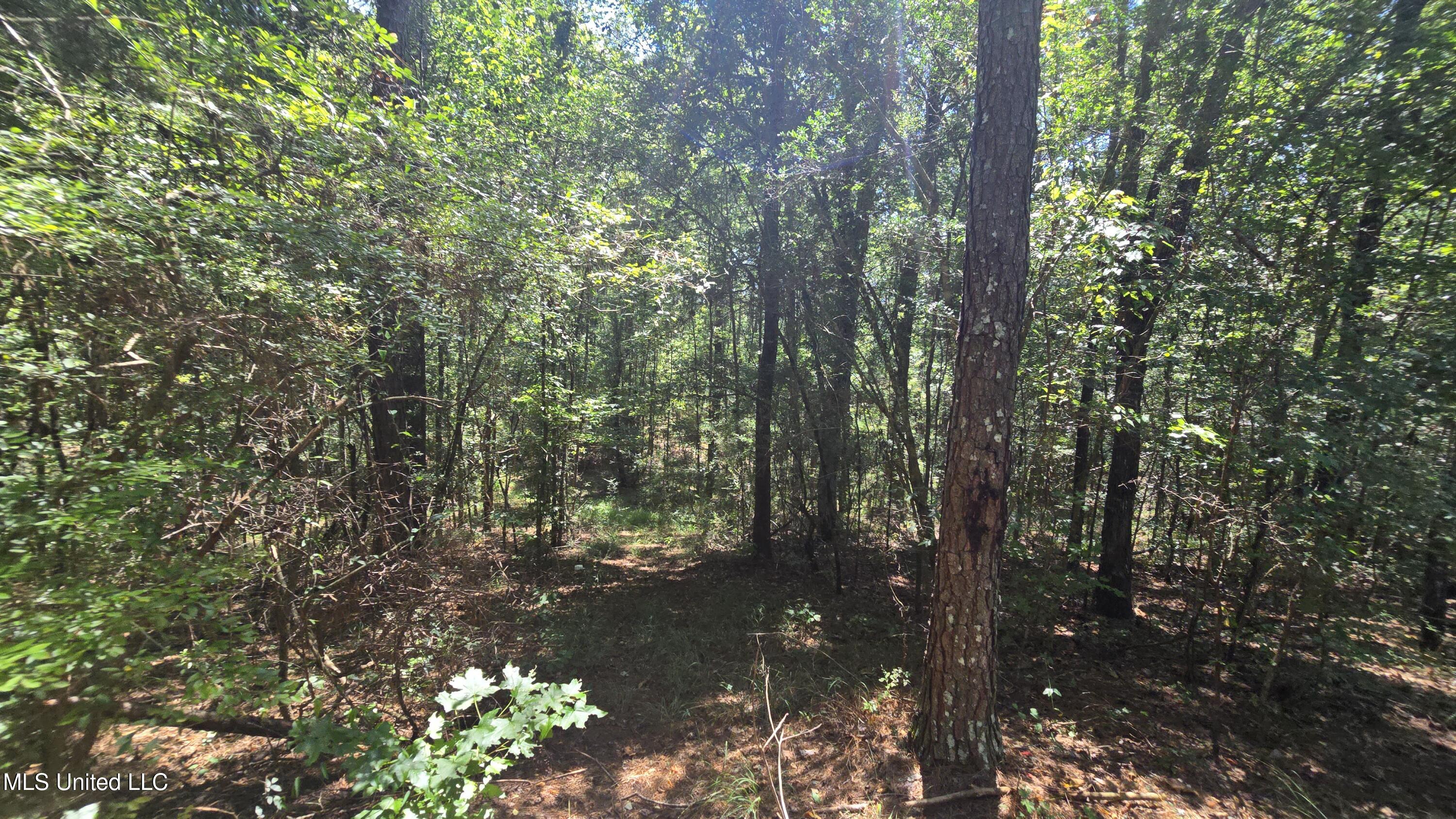 101 Pearl Hodge Road Laurel, MS 39443 - Photo 25 of 43 20250825_140204