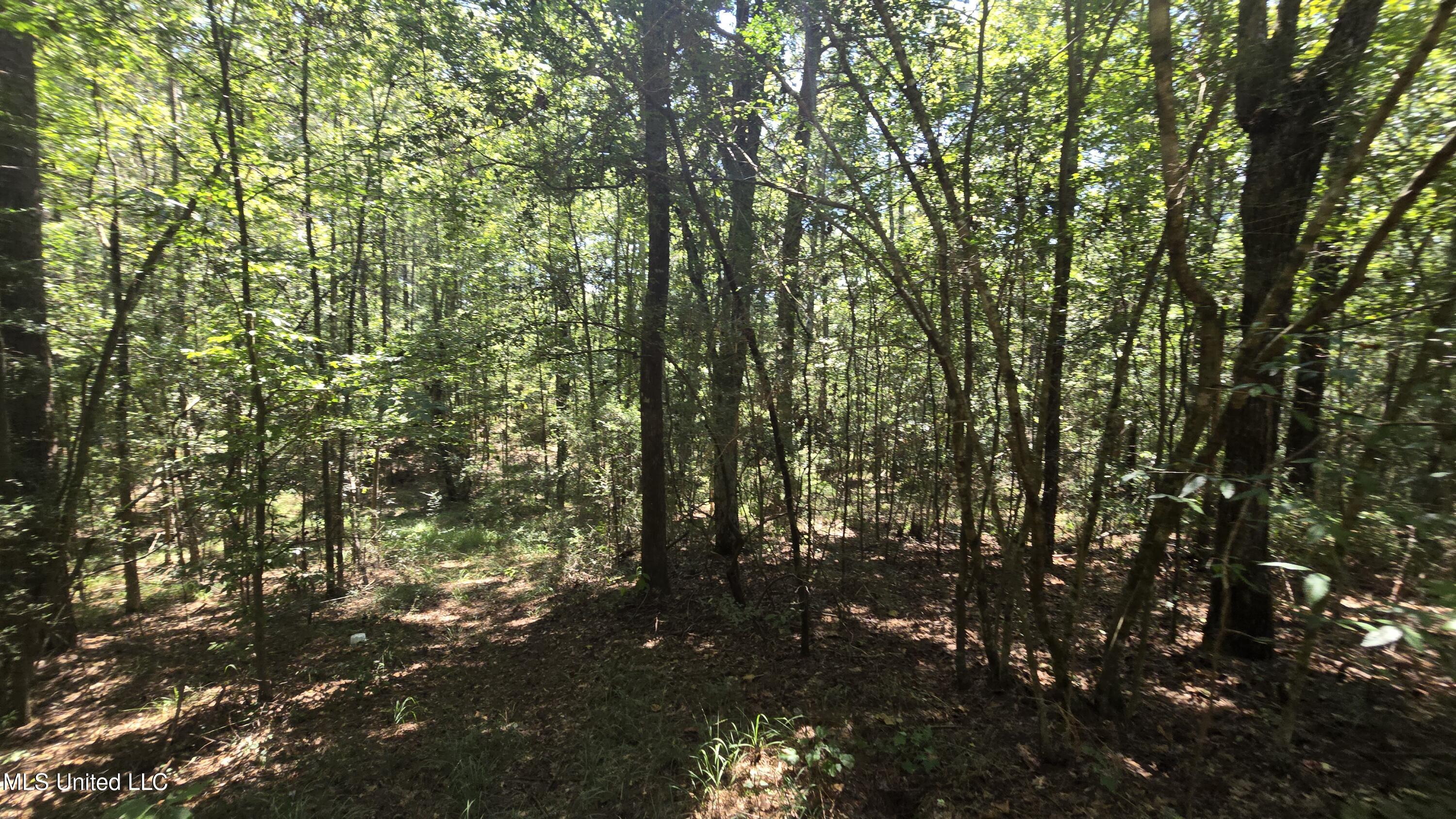 101 Pearl Hodge Road Laurel, MS 39443 - Photo 26 of 43 20250825_140209