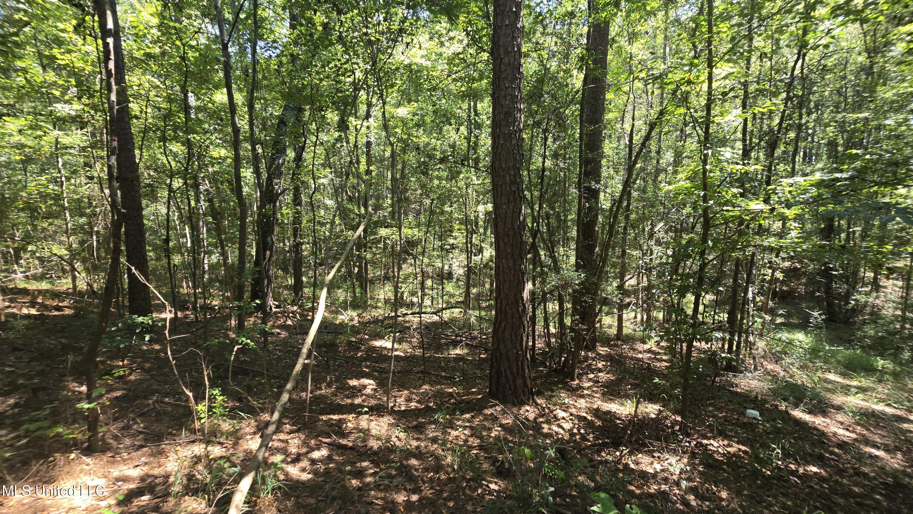 101 Pearl Hodge Road Laurel, MS 39443 - Photo 27 of 43 20250825_140211