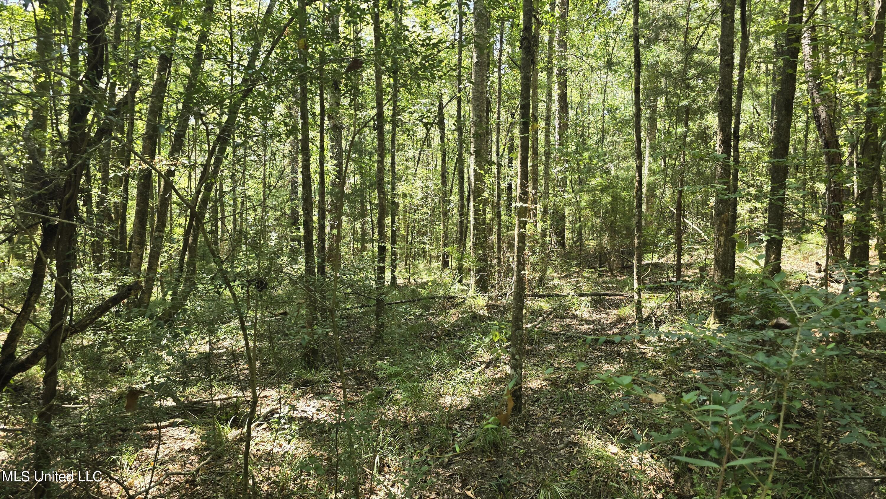 101 Pearl Hodge Road Laurel, MS 39443 - Photo 28 of 43 20250825_140457