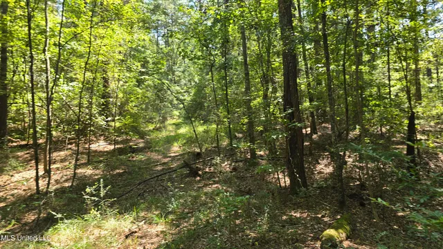 $155,000 | 101 Pearl Hodge Road, Laurel, MS 39443