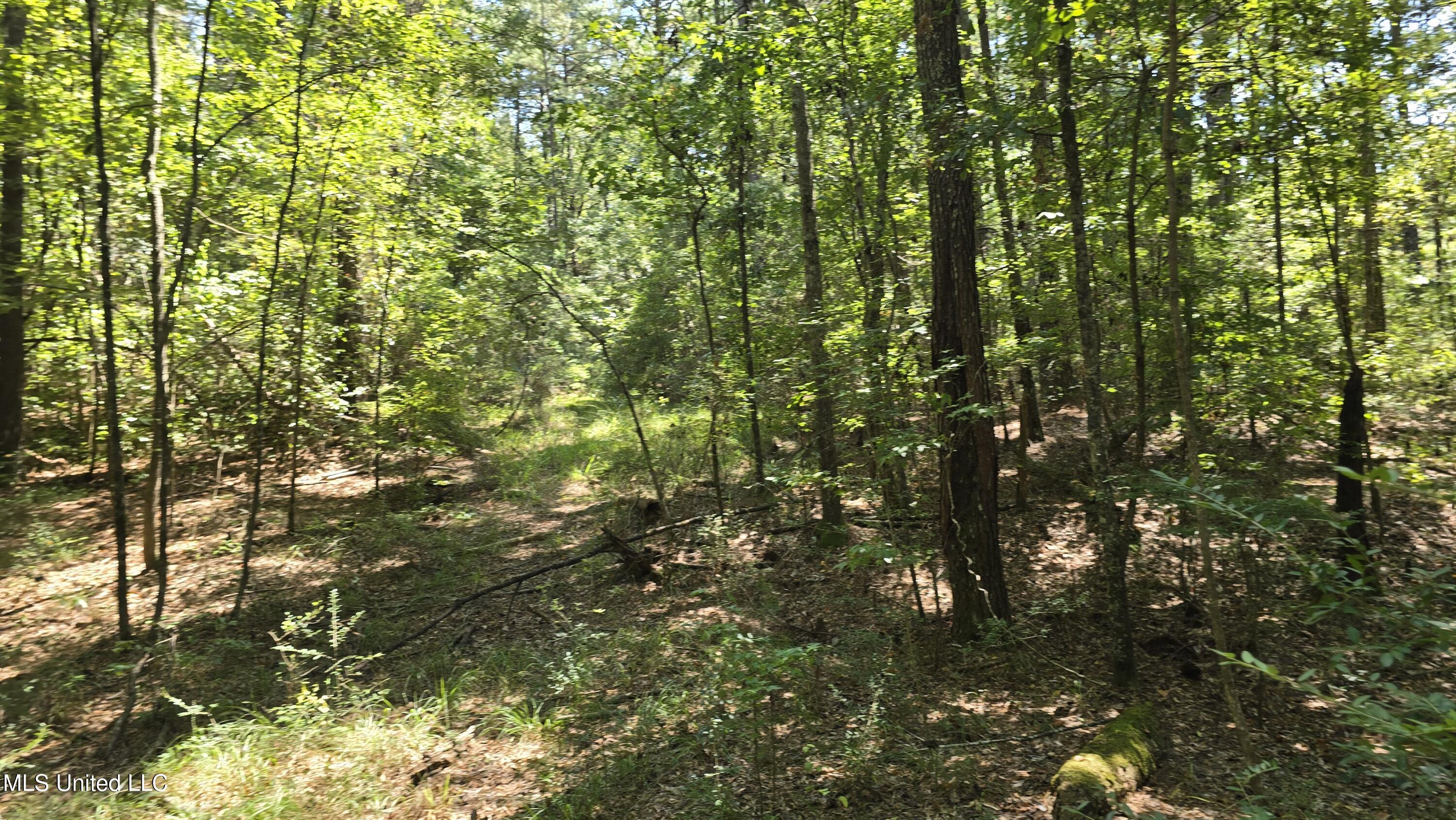 101 Pearl Hodge Road Laurel, MS 39443 - Photo 29 of 43 20250825_140500