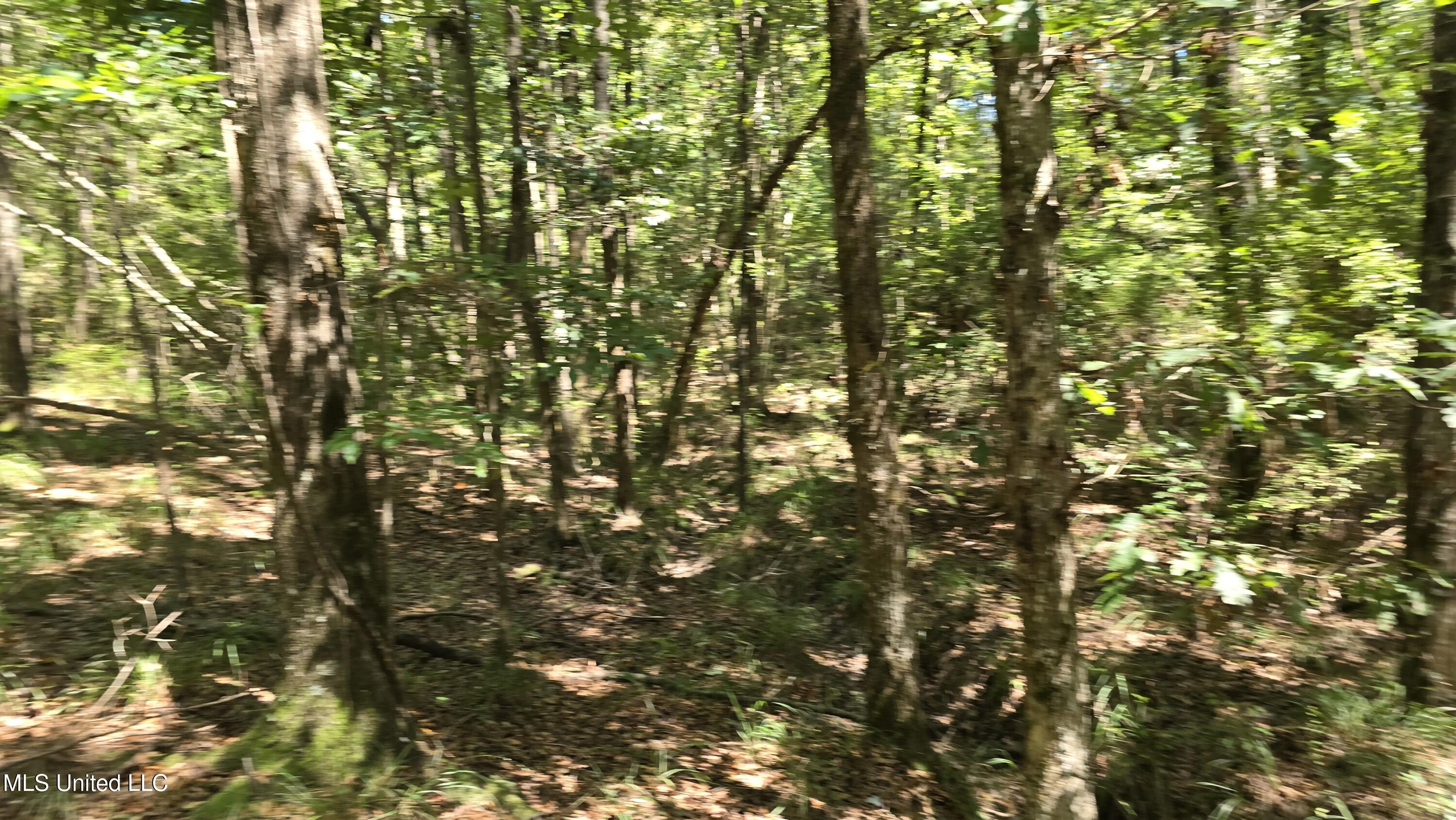 101 Pearl Hodge Road Laurel, MS 39443 - Photo 30 of 43 20250825_140502