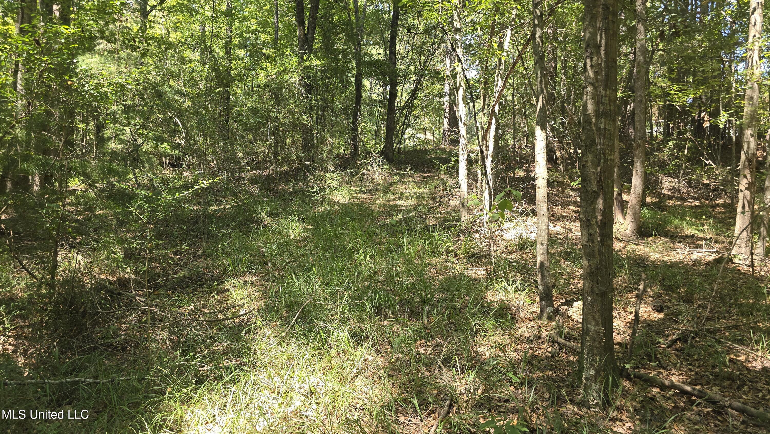 101 Pearl Hodge Road Laurel, MS 39443 - Photo 31 of 43 20250825_140506