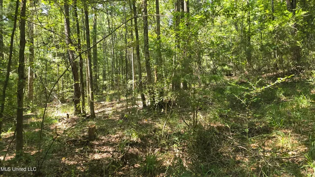 $155,000 | 101 Pearl Hodge Road, Laurel, MS 39443