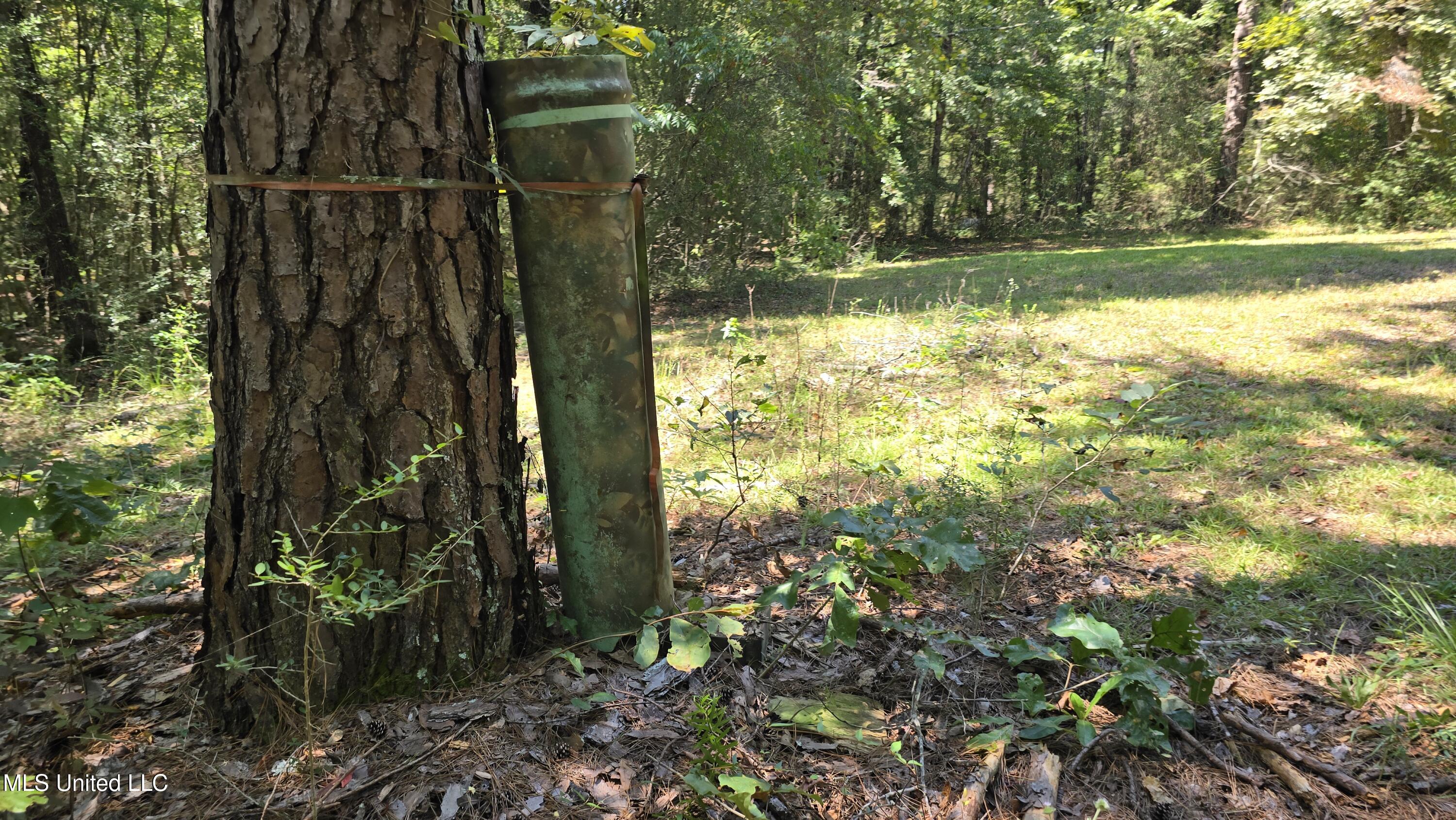 101 Pearl Hodge Road Laurel, MS 39443 - Photo 33 of 43 20250825_140537