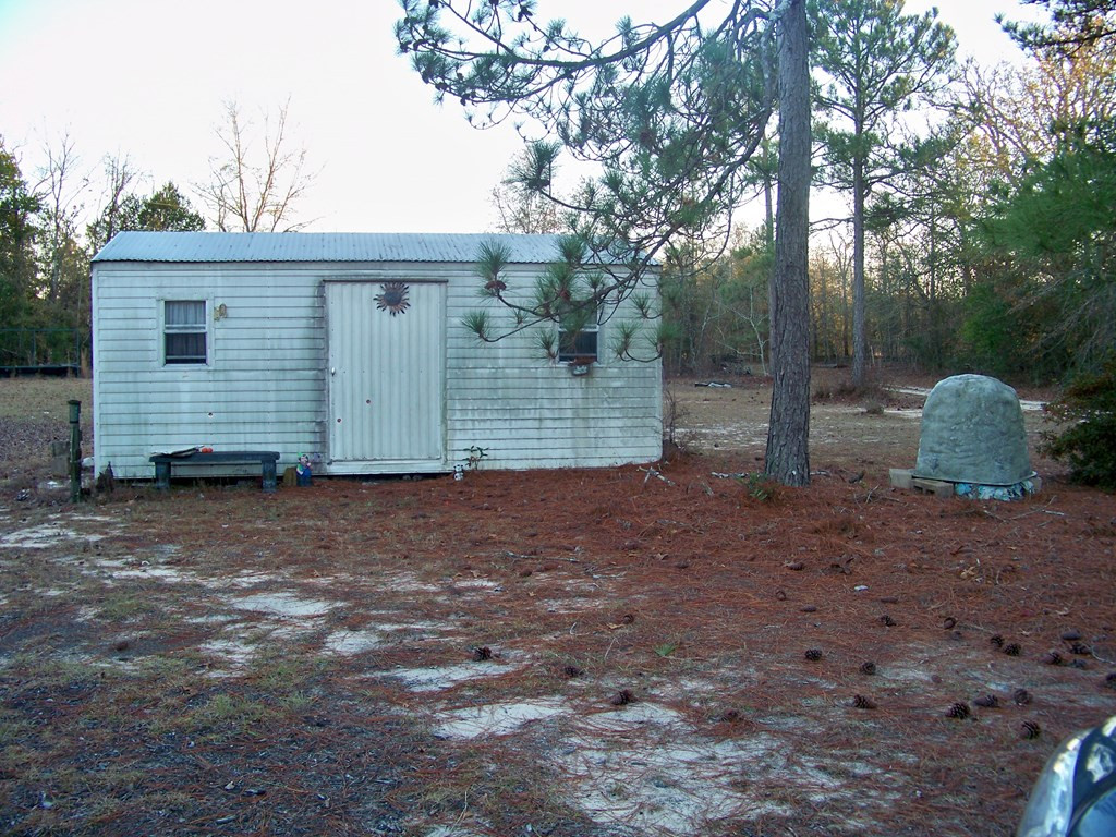 387 Buckboard Road Wagener, SC 29164 - Photo 4 of 47