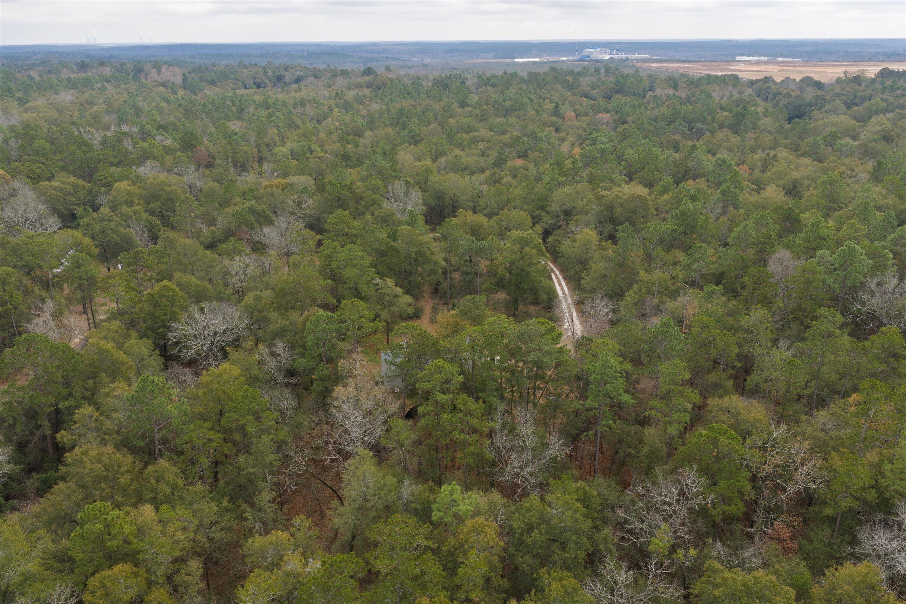 979 Horseshoe Road Augusta, GA 30906 - Photo 55 of 62 55-DJI_20251203135716_0100_D-HDR