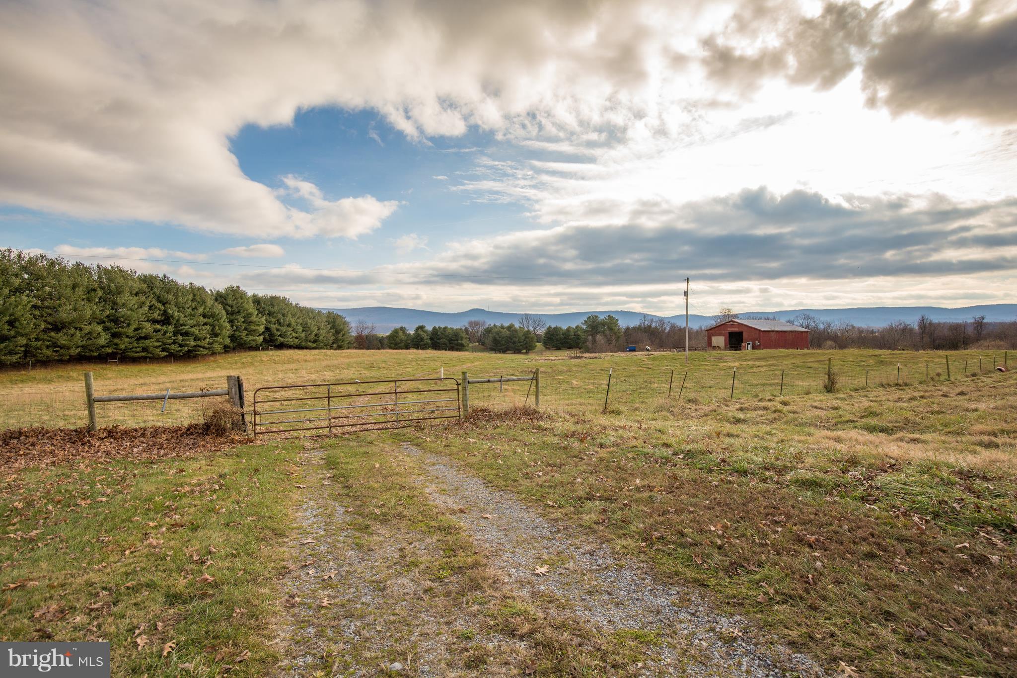 3522 Wickliffe Road Berryville, VA 22611 - Photo 3 of 36 Gallery Image 3