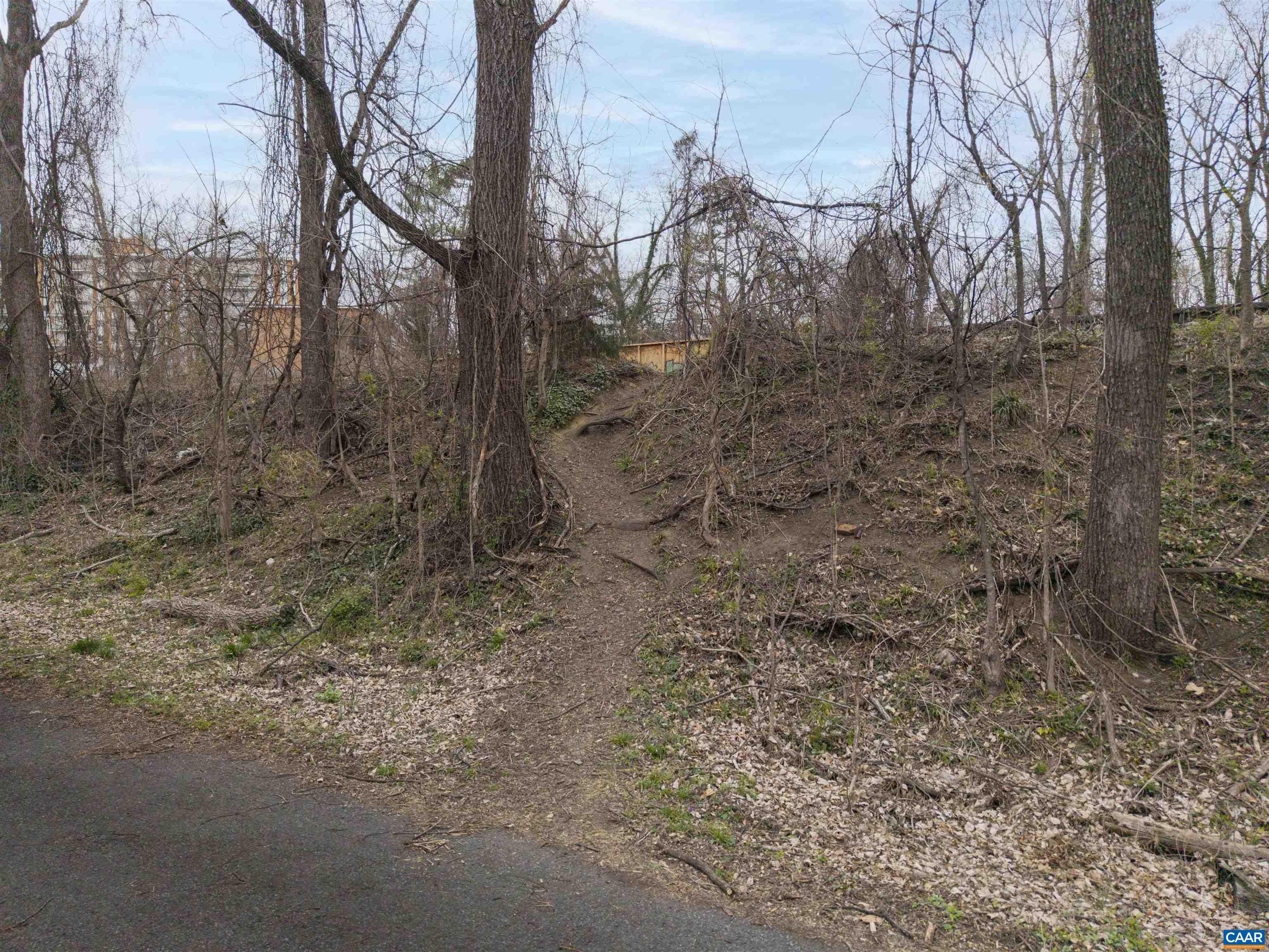 1625 Grove St Extension Charlottesville, VA 22903 - Photo 22 of 24 a view of a yard with lots of bushes