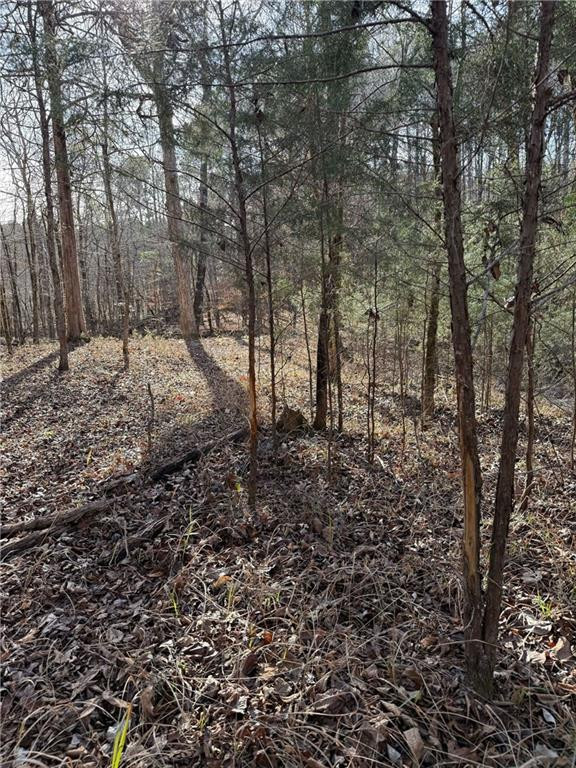 877 McKee Road Waverly Hall, GA 31831 - Photo 65 of 70