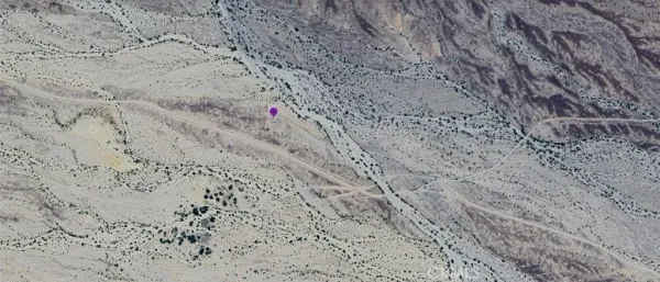 a view of a dry yard