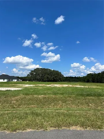 a view of an ocean from a yard