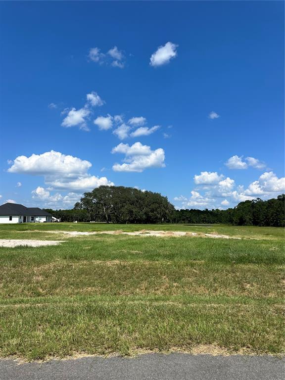 a view of an ocean from a yard