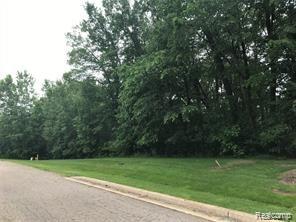 Lot 21 Deer Ridge Trail Howell, MI 48843 - Photo 12 of 17