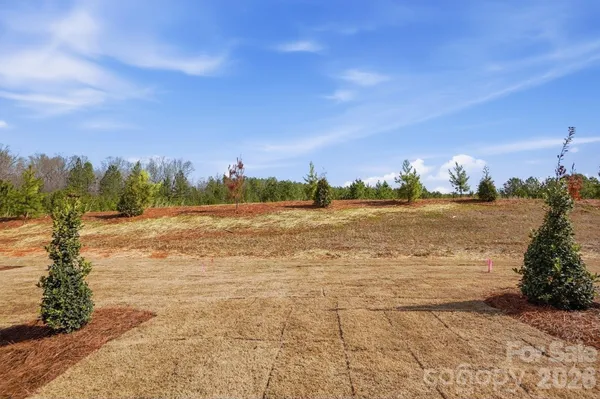 $401,900 | 434 Blythe Townhome Lane, Waxhaw, NC 28173