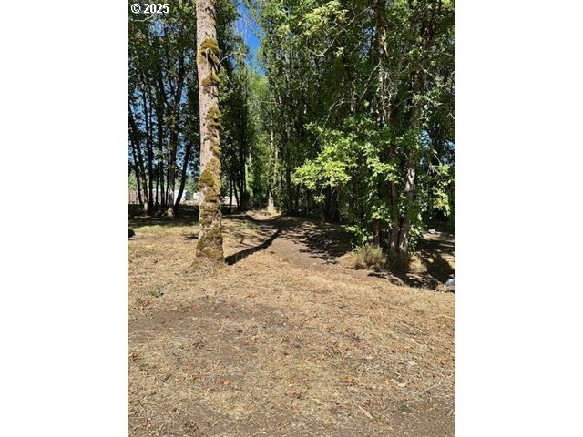 28656 South Marshall Road Mulino, OR 97042 - Photo 36 of 37 Gallery Image 36
